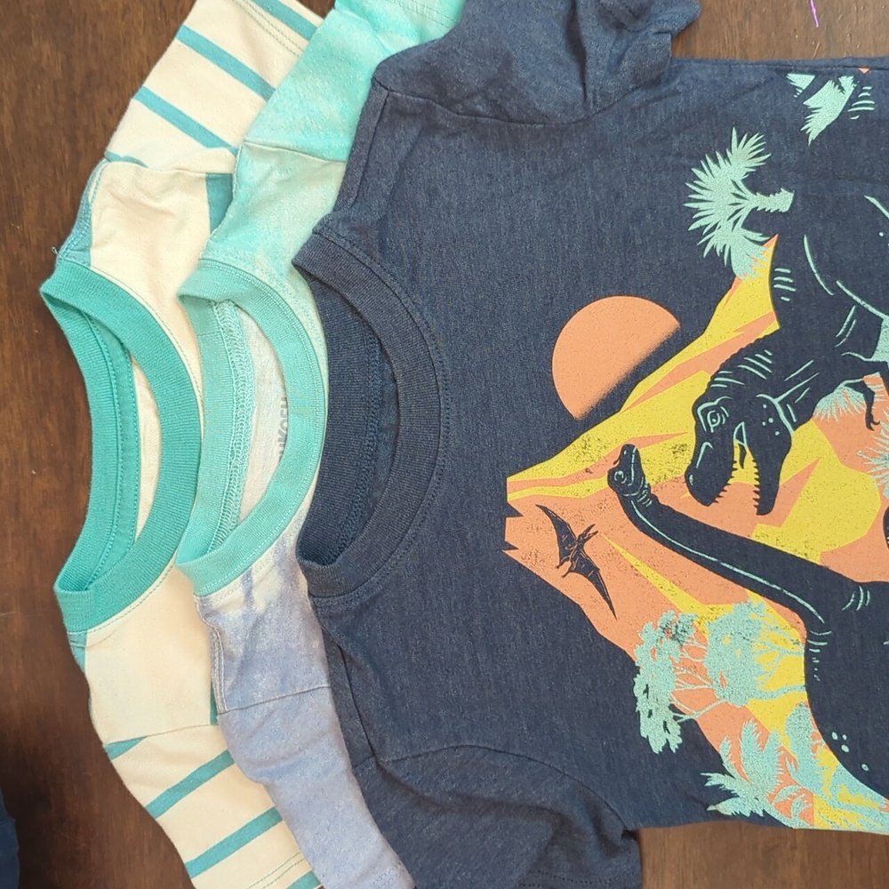 Dinos, Stripes and Tie-Dye, Oh My! Bundle of 3 Boys T-shirts, Size 2T